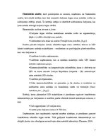 Referāts 'Transfertcenu dokumentēšanas teorētiskais pētījums', 7.