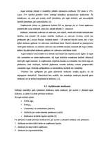 Konspekts 'Ienākuma nodoklis', 6.