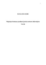 Diplomdarbs 'Mājaslapu lietošanas paradumi ķīniešu izcelsmes iedzīvotājiem Latvijā', 1.