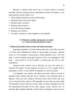 Diplomdarbs 'Mājaslapu lietošanas paradumi ķīniešu izcelsmes iedzīvotājiem Latvijā', 30.