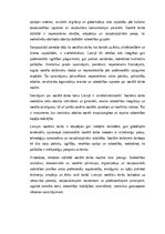 Eseja 'Sociālā darba loma Latvijā', 5.