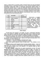 Referāts 'Olbaltumvielas', 3.