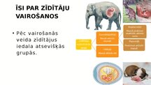Prezentācija 'Zīdītāju vairošanās', 3.