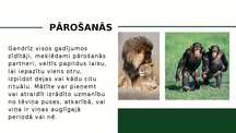 Prezentācija 'Zīdītāju vairošanās', 5.