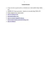 Referāts 'Reģionālās attīstības politika ES', 9.