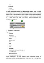 Konspekts 'Projekts vidējai grupai - transports', 2.