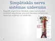 Prezentācija 'Simpātiskā nervu sistēma', 4.