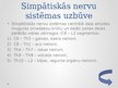 Prezentācija 'Simpātiskā nervu sistēma', 5.
