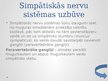 Prezentācija 'Simpātiskā nervu sistēma', 6.