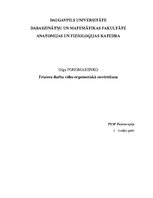 Referāts 'Friziera darba vides ergonomiskā novērtēšana', 18.