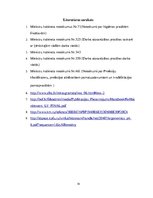 Referāts 'Friziera darba vides ergonomiskā novērtēšana', 31.