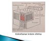 Prezentācija 'Akmeņogļu koksēšana', 8.