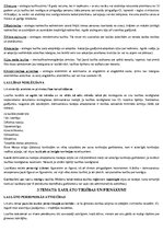 Konspekts 'Ģimenes tiesības', 4.