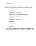 Prakses atskaite 'Prakses atskaite', 6.