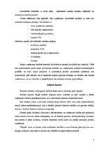 Konspekts 'Budžeta plāna sastādīšana', 6.