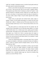 Prakses atskaite 'SIA "Dēseles dzirnavas"', 12.