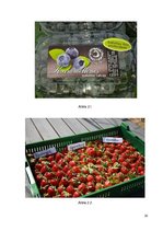 Prakses atskaite 'SIA "Dēseles dzirnavas"', 30.