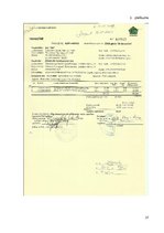 Prakses atskaite 'SIA "Dēseles dzirnavas"', 37.