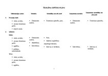 Paraugs 'Skolēna izpētes plāns un raksturojums', 6.