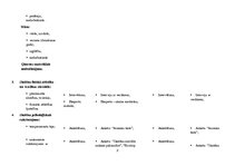 Paraugs 'Skolēna izpētes plāns un raksturojums', 7.