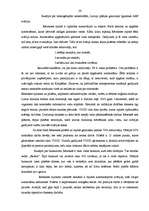 Referāts 'Civilā aizsardzība Rēzeknē un Rēzeknes rajonā', 26.