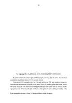 Referāts 'Civilā aizsardzība Rēzeknē un Rēzeknes rajonā', 33.