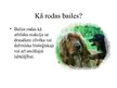 Prezentācija 'Emocijas', 9.
