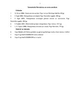 Referāts 'Hemoraģisks insults un aprūpes vadīšanas stratēģijas', 13.