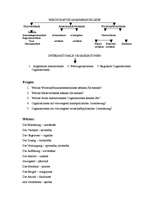 Referāts 'Wirtschaftszusammenschlüsse', 8.
