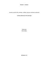 Referāts 'Jauniešu pozitīvā tēla veidošana - vērtības, karjeras veidošana, saskarsme', 1.