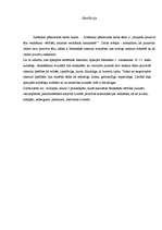 Referāts 'Jauniešu pozitīvā tēla veidošana - vērtības, karjeras veidošana, saskarsme', 2.