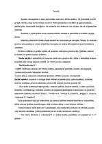 Referāts 'Jauniešu pozitīvā tēla veidošana - vērtības, karjeras veidošana, saskarsme', 4.