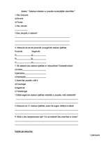 Referāts 'Jauniešu pozitīvā tēla veidošana - vērtības, karjeras veidošana, saskarsme', 24.