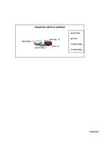 Referāts 'Jauniešu pozitīvā tēla veidošana - vērtības, karjeras veidošana, saskarsme', 26.