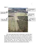 Konspekts 'Meža ainavas analīze', 1.