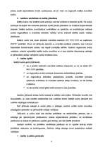 Referāts 'Uzņēmuma kontrole', 6.