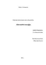 Referāts 'Alternatīvā enerģija', 1.