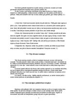 Referāts 'Alternatīvā enerģija', 7.