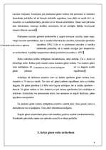 Referāts 'Gāzes apgādes sadales sistēmas', 6.