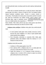 Referāts 'Gāzes apgādes sadales sistēmas', 8.