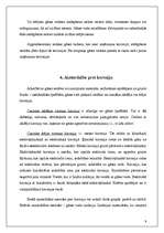 Referāts 'Gāzes apgādes sadales sistēmas', 9.