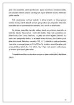 Referāts 'Gāzes apgādes sadales sistēmas', 10.