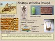 Prezentācija 'Ēģipte un Divupe', 9.