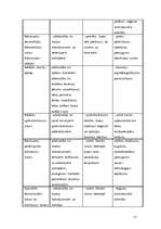 Referāts 'Brīvās ekonomiskās zonas', 17.