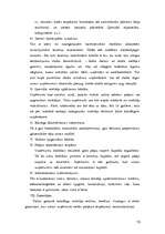 Referāts 'Brīvās ekonomiskās zonas', 19.