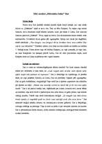 Eseja 'Romāna "Mērnieku laiki" Ilzes tēla analīze', 1.