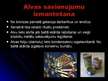 Prezentācija 'Alva', 5.