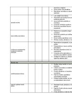 Paraugs 'Risku matrica', 2.