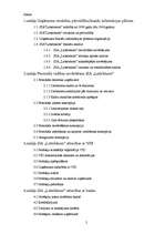 Prakses atskaite 'SIA "Lattelekom" finanšu darbības analīze', 2.