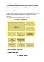 Prakses atskaite 'SIA "Lattelekom" finanšu darbības analīze', 8.